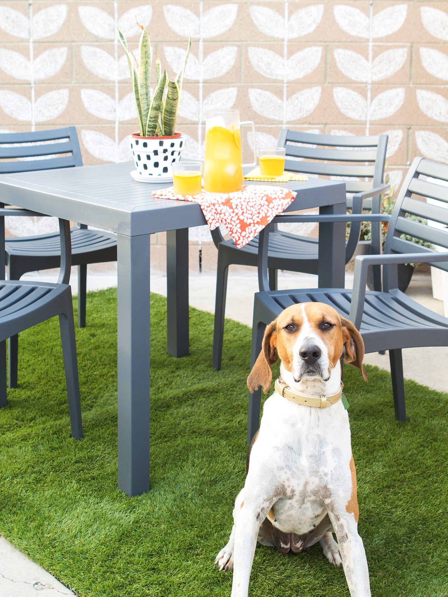 Grass Alternatives | PS Home