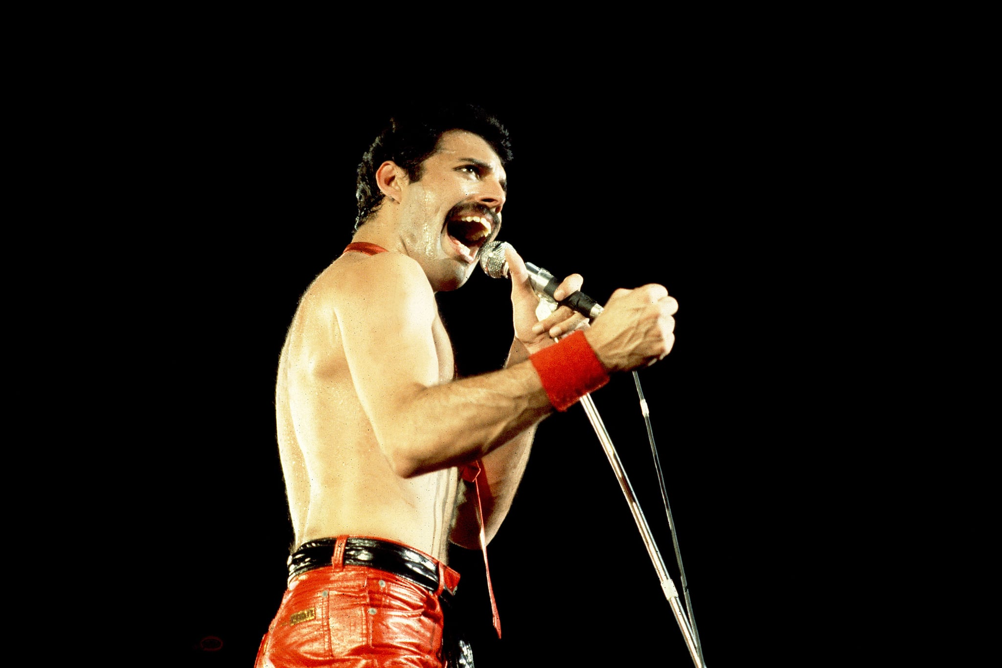 Freddie Mercury of Queen on 9/19/80 in Chicago, Il.  (Photo by Paul Natkin/WireImage)
