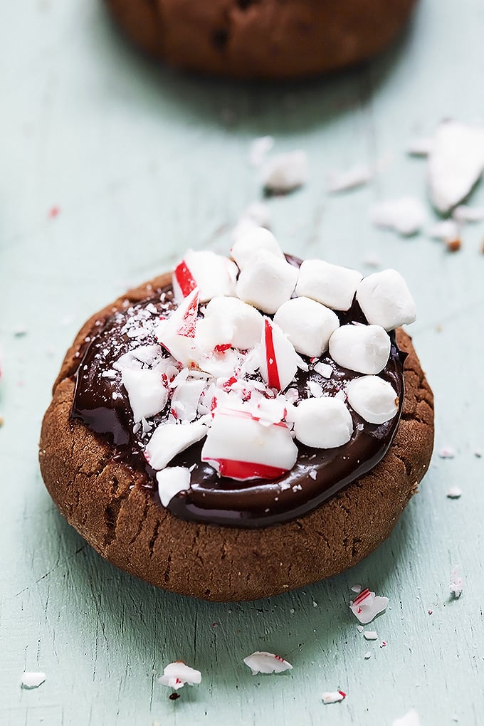 Hot Chocolate Meltaway Cookies