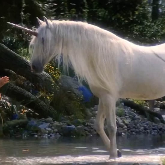 Study Proves Unicorns Are Real | Video