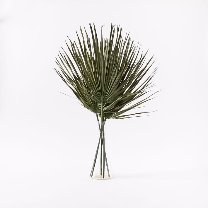 Dried Green Palm Leaf Stem Bunch