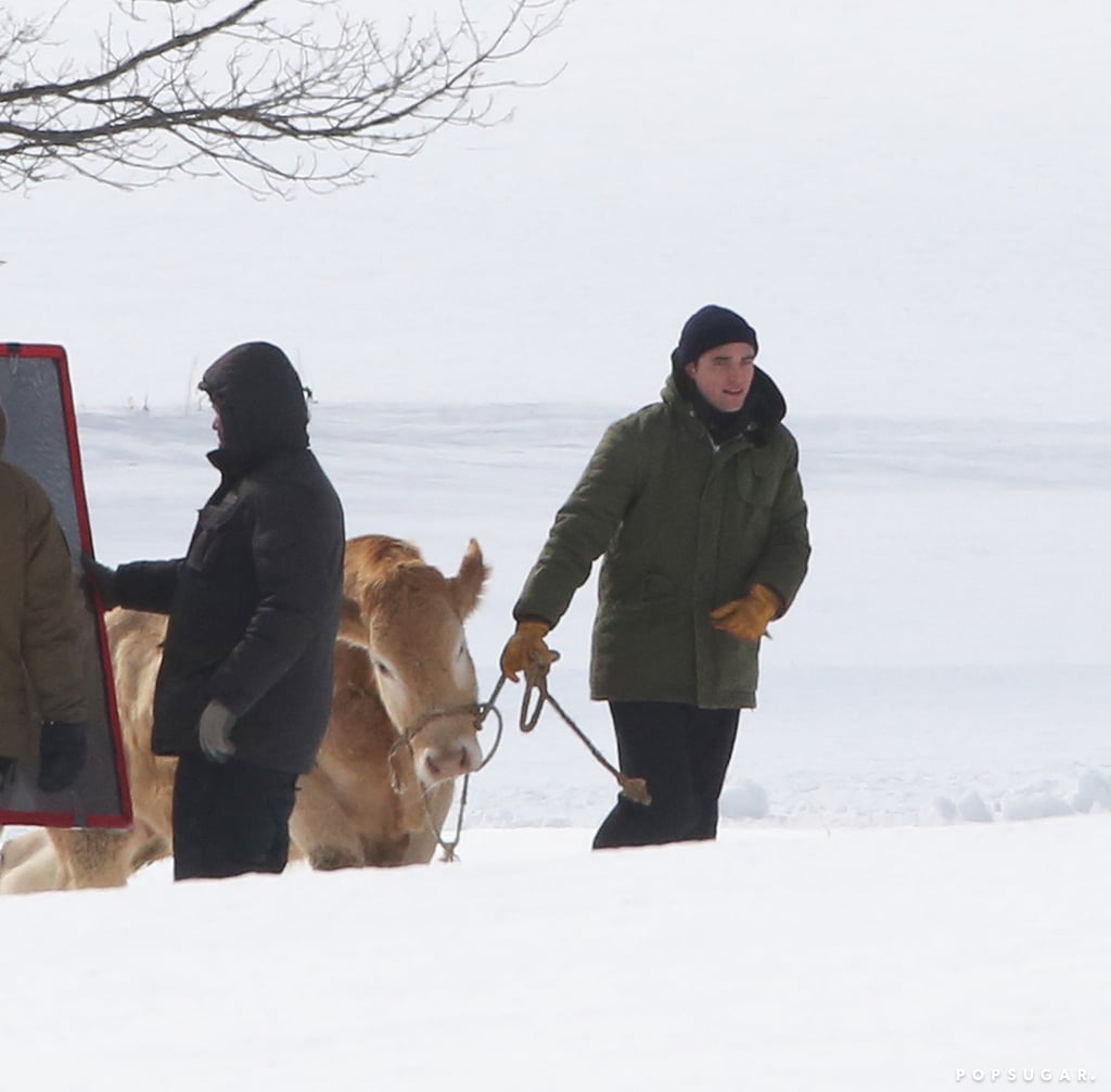 Robert Pattinson Herding Cattle on Set of Life in Vancouver