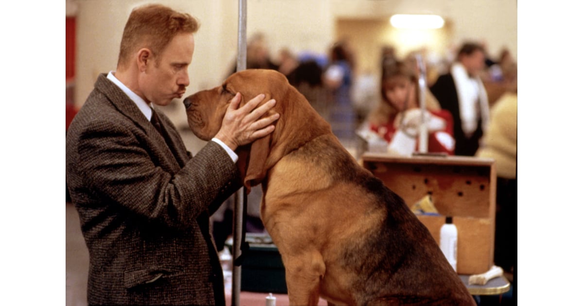 Harlan Pepper in Best in Show. | The Princess Bride Cast Where Are They Now | POPSUGAR