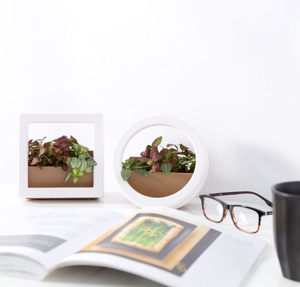 MidCentury Planters on Amazon Prime POPSUGAR Home