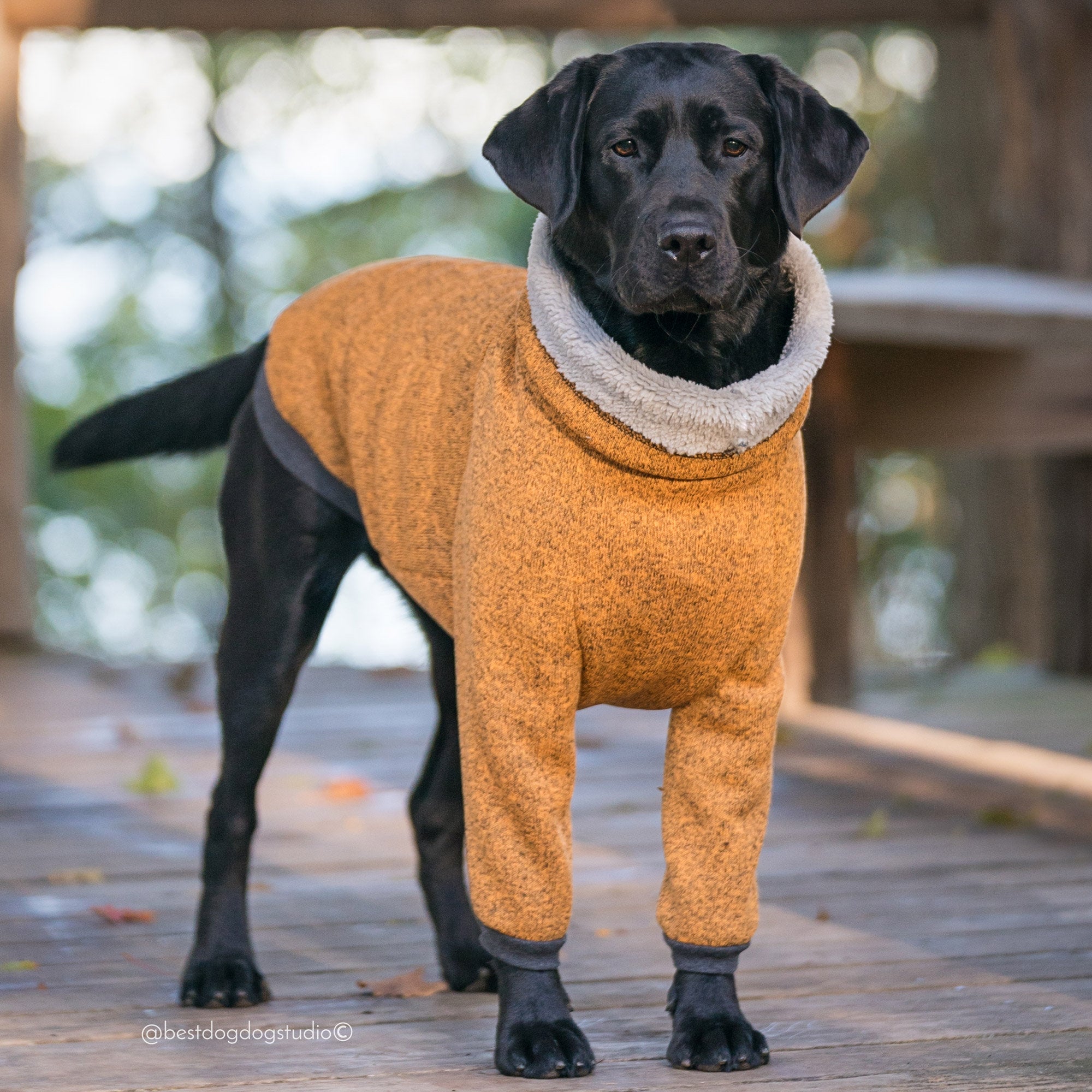 fleece dog coats