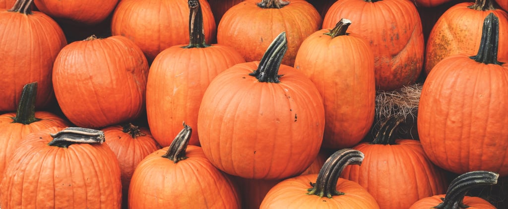 When to Plant Pumpkins For Halloween