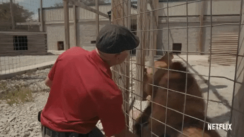 Tiger King Gifs Popsugar Entertainment Tiger King Gifs Popsugar Entertainment