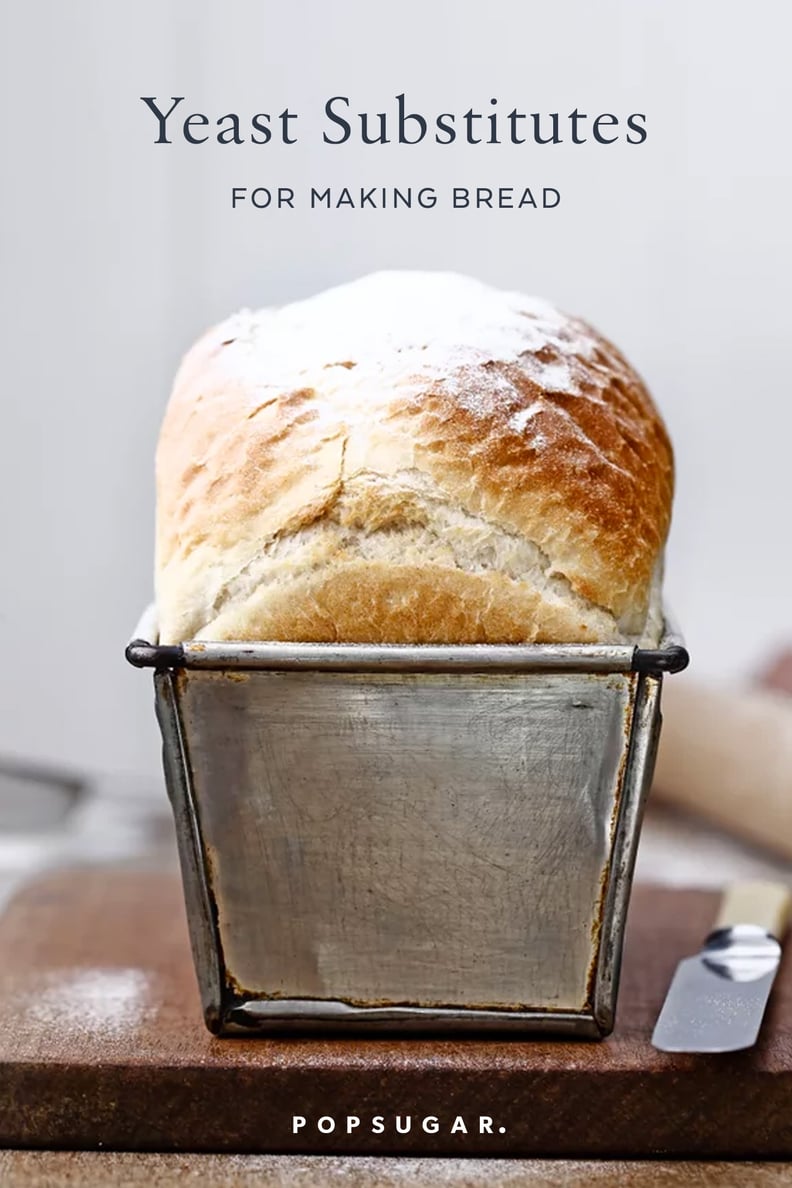 4 Yeast Substitutes For Making Bread POPSUGAR Food
