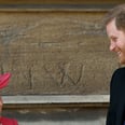 Prince Harry Gushes Over Fatherhood: "I Love Every Part of It"