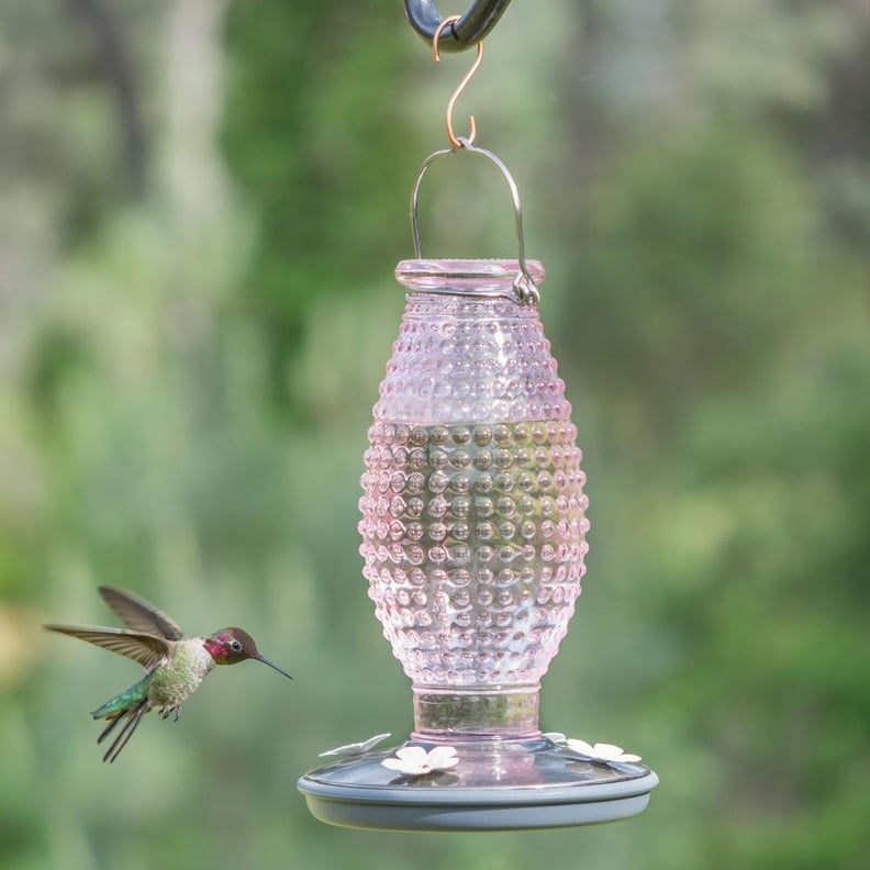 A Pink Feeder: Perky-Pet Cranberry Hobnail Decorative Glass Hummingbird Feeder