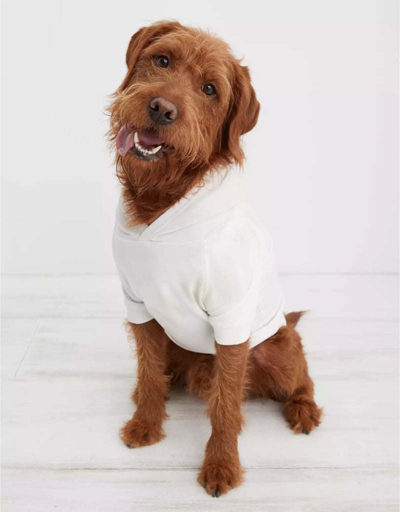 OFFLEASH by Aerie Puppy Hoodie