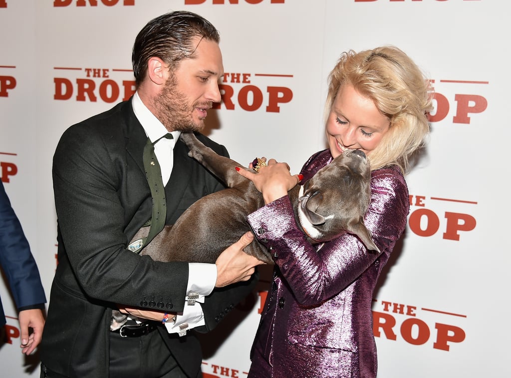 Tom Hardy With a Puppy at the Premiere of The Drop | Photos