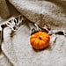 Affordable Fall Activities