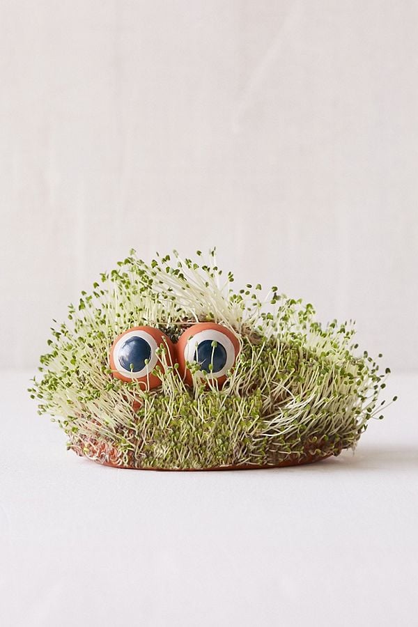 Mini Lil Blob Friend Chia Pet