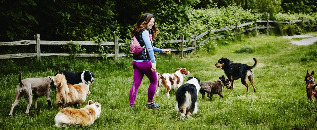 Tips For Taking Your Dog to the Dog Park
