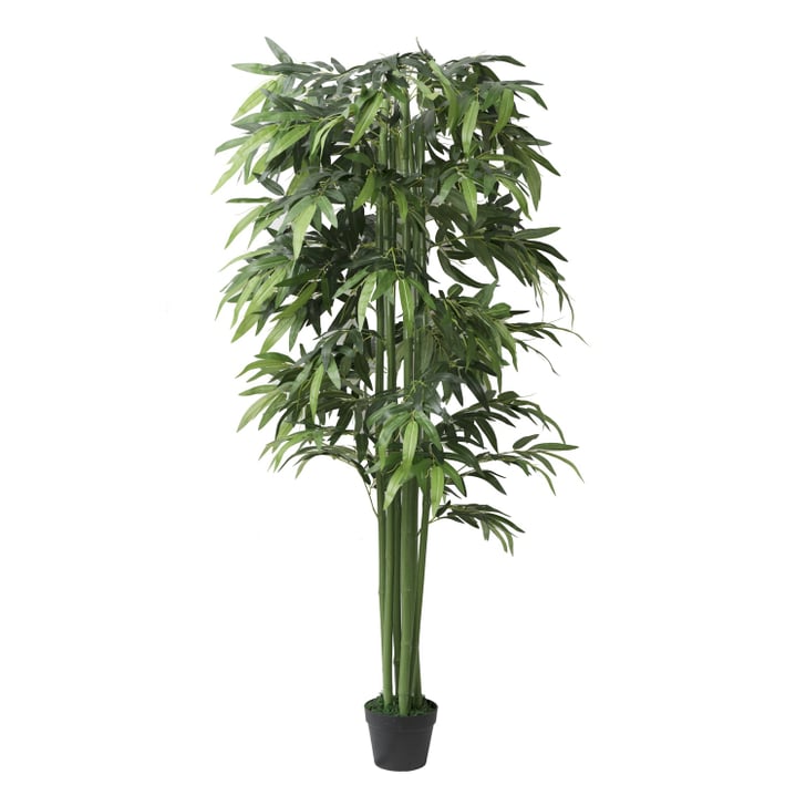 Artificial Bamboo Tree Best Fake Plants That Look Real POPSUGAR