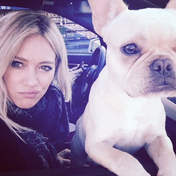 "🐶"