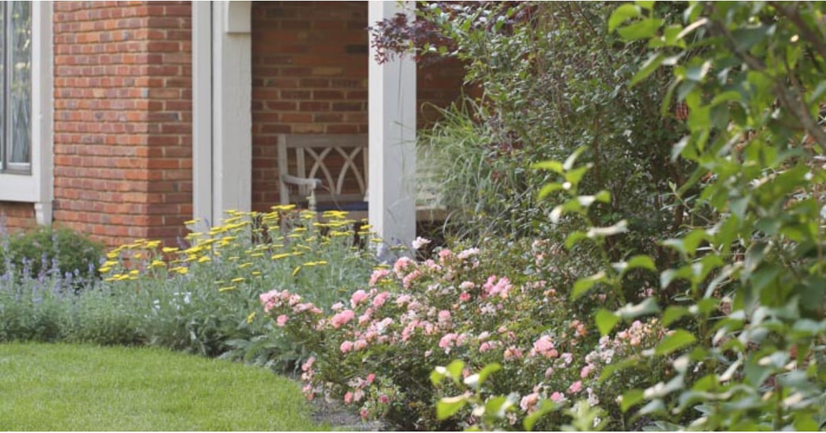 How to Keep Deer Out of Your Yard | POPSUGAR Home