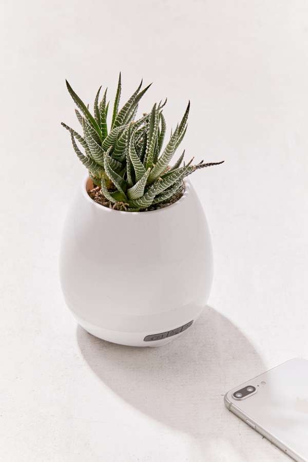 Planter Bluetooth Speaker