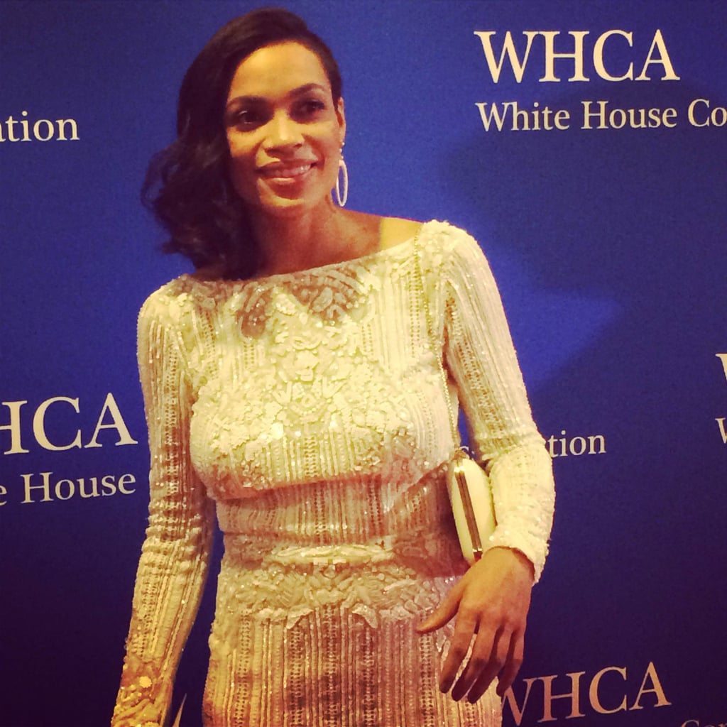 Rosario Dawson stopped for a photo on the red carpet.