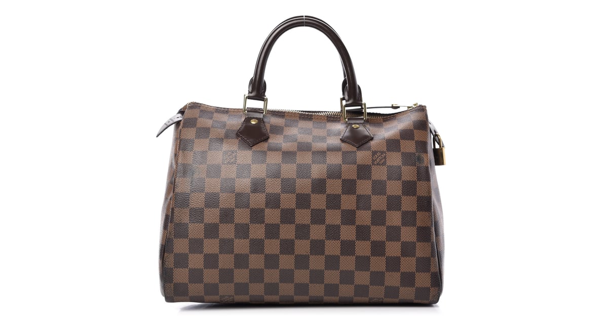 louis vuitton damier ebene speedy