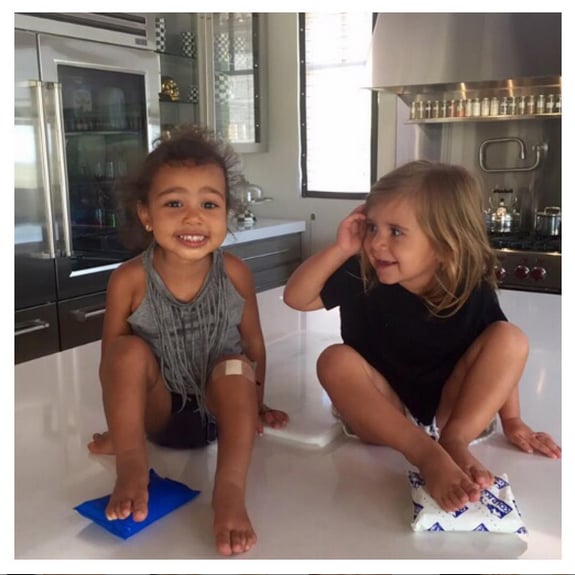 North and Penelope had fun on the kitchen counter.