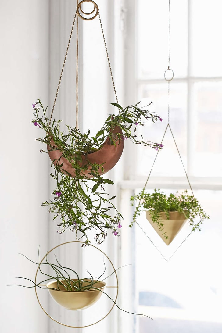 The Best Hanging Planters Popsugar Home Middle East Take your space to the next level with outdoor planters from cb2 canada. the best hanging planters popsugar