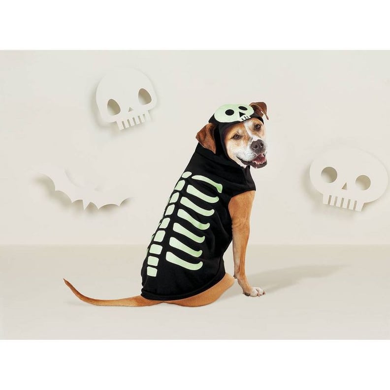 A Glow-in-the-Dark Skeleton: Hyde & EEK! Boutique Skeleton Glow Hoodie Dog and Cat Costume