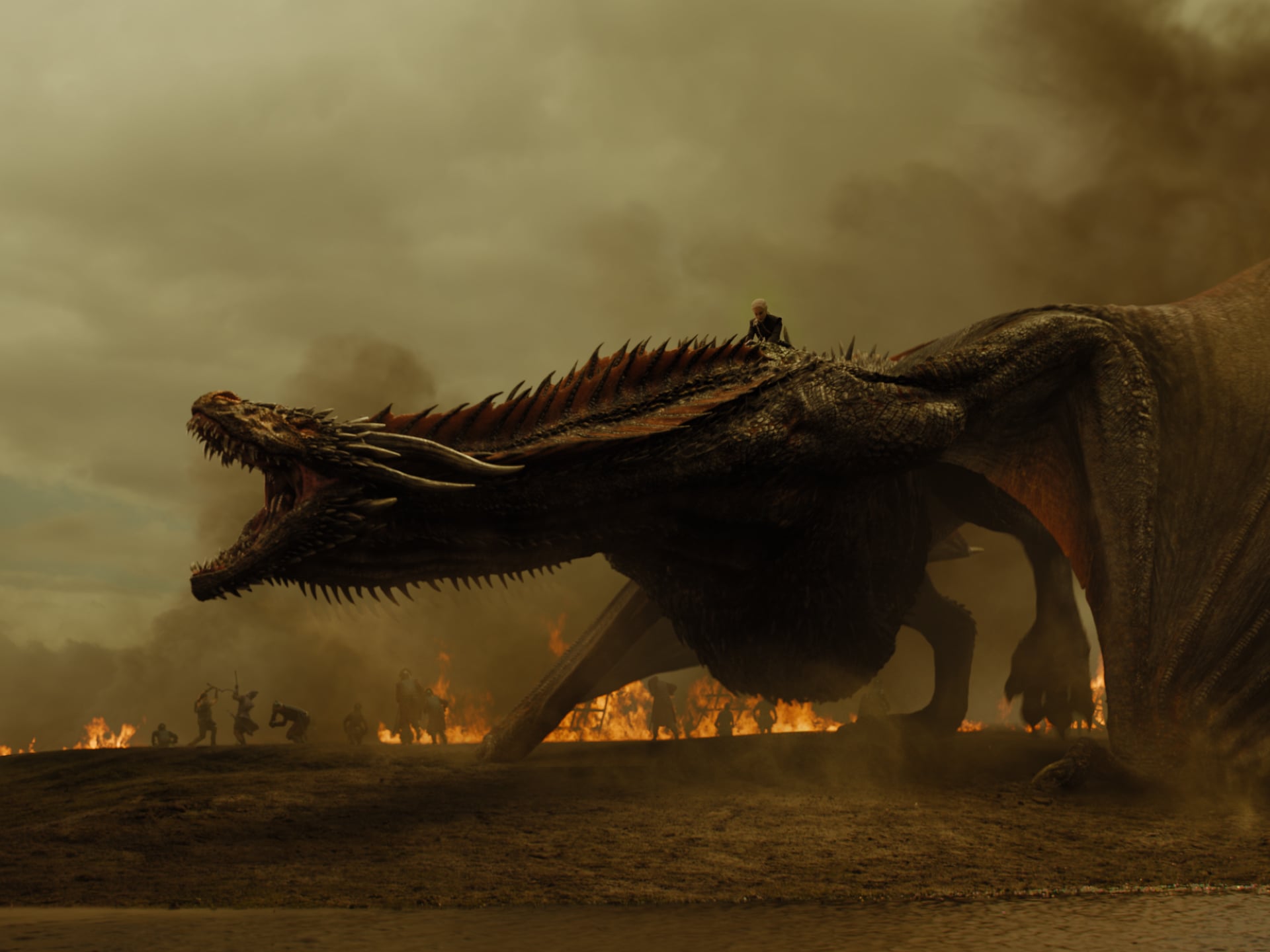 Conozca a los dragones de 'House of the Dragon'