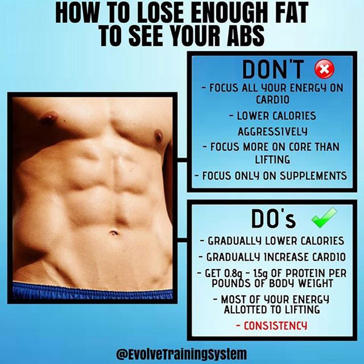 reduce fat stomach quickly