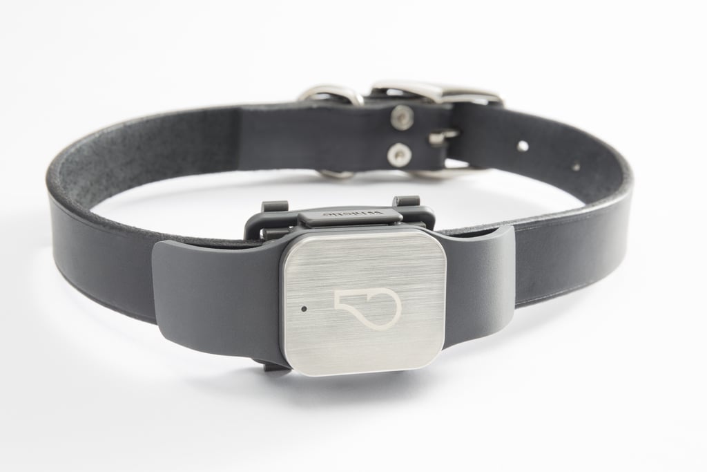 Do you ever wonder what your dog is up to while you're at work or whether or not your dog walker is actually walking your dog as often as they say? Whistle ($79) can help. This handy device attaches to your dog's collar and pairs with an app on your phone so you can keep track of where your dog is and what he's doing. The app will even send you an alert if your dog is out of his home zone, just in case you need to chase him down.