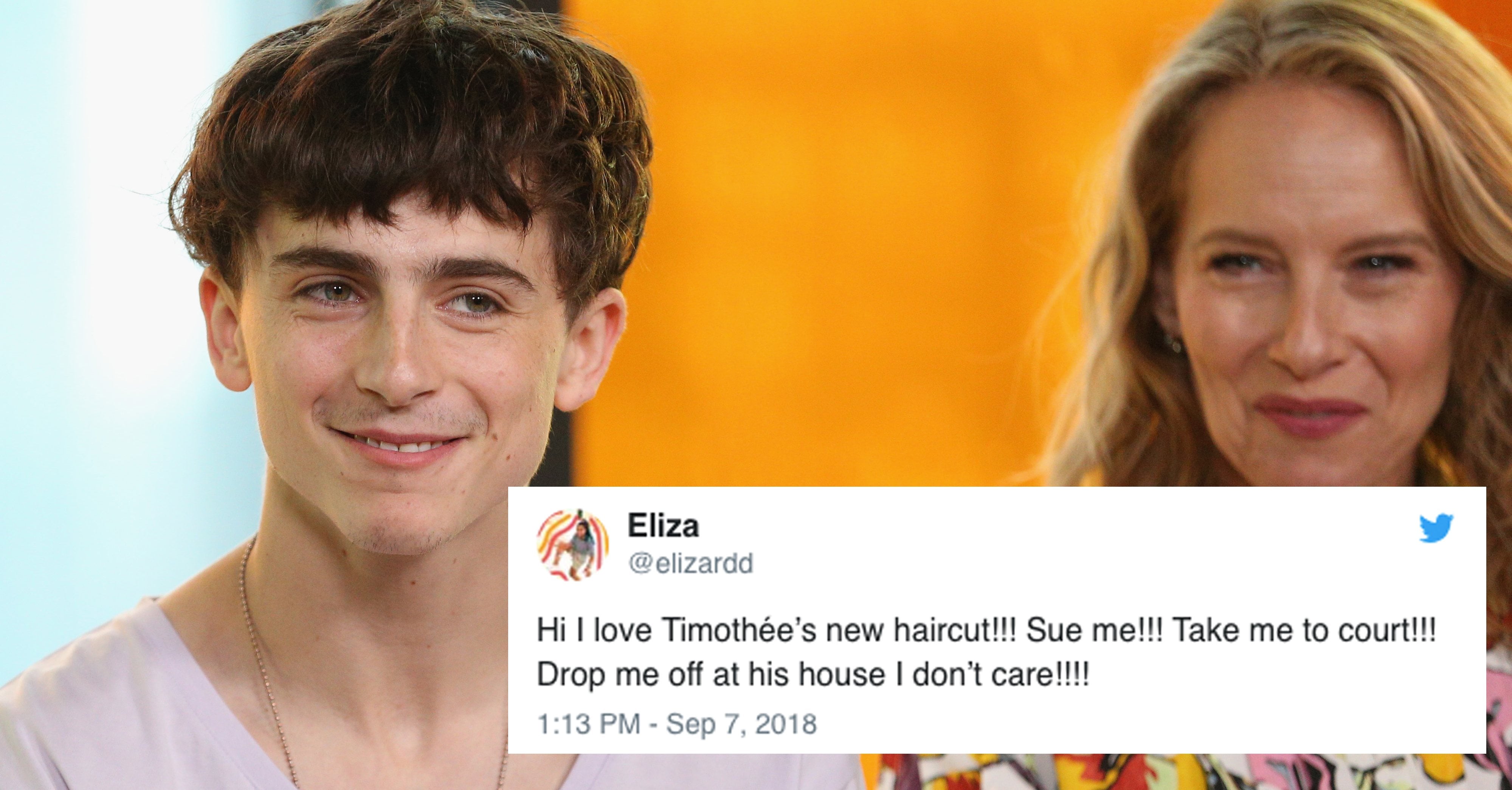 Timothee Chalamet Hairstyles And Haircuts - Celebrities