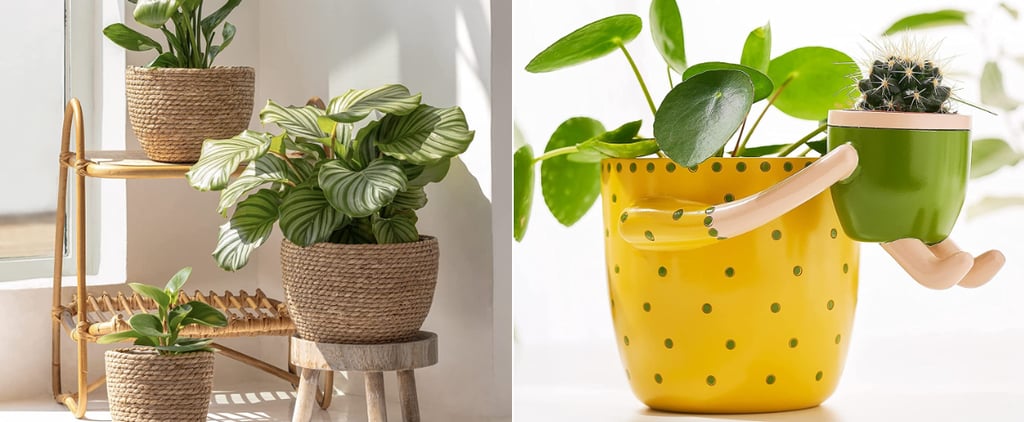 Best Indoor Pots and Planters