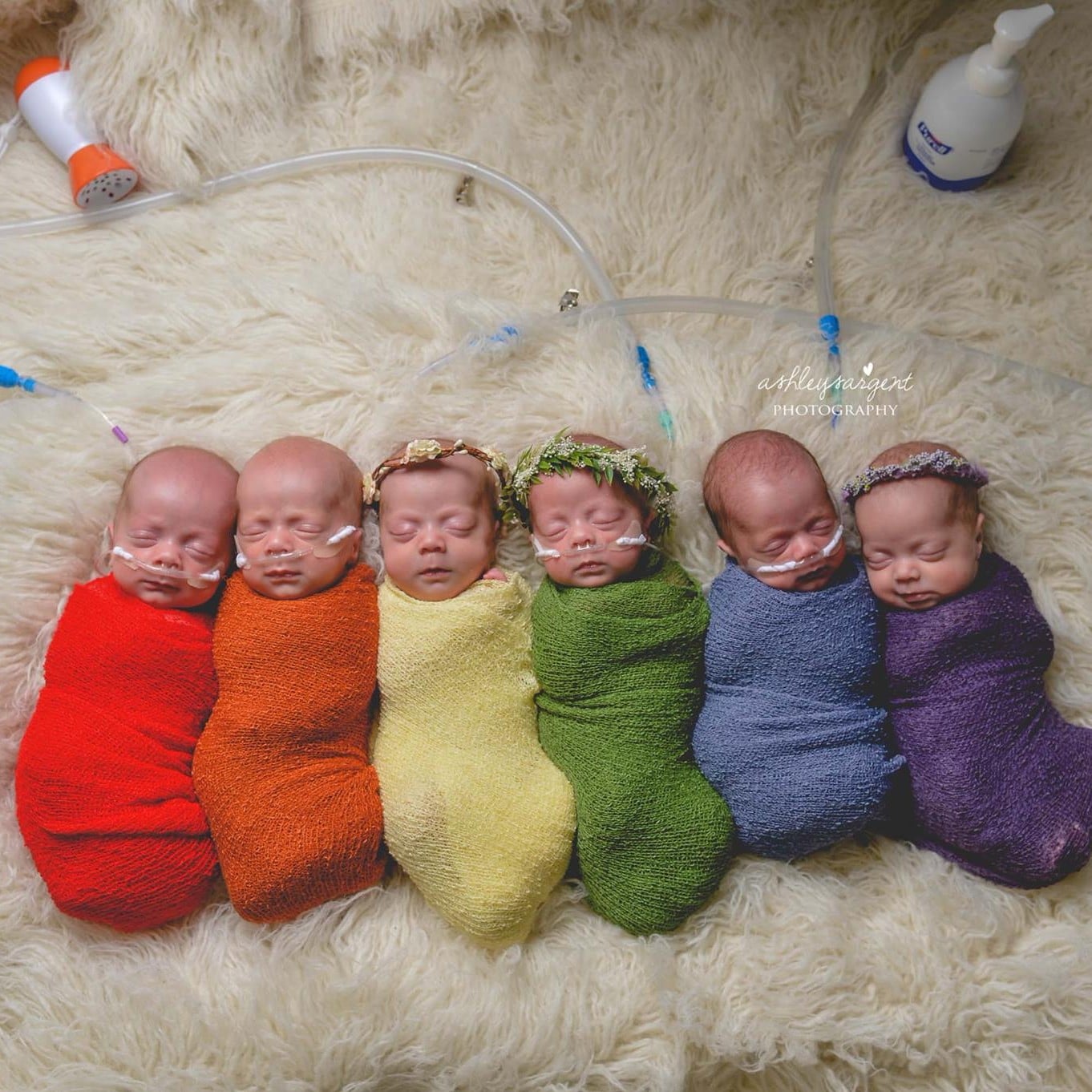 Rainbow Sextuplets Photo Shows Babies' Birth Order | POPSUGAR Family