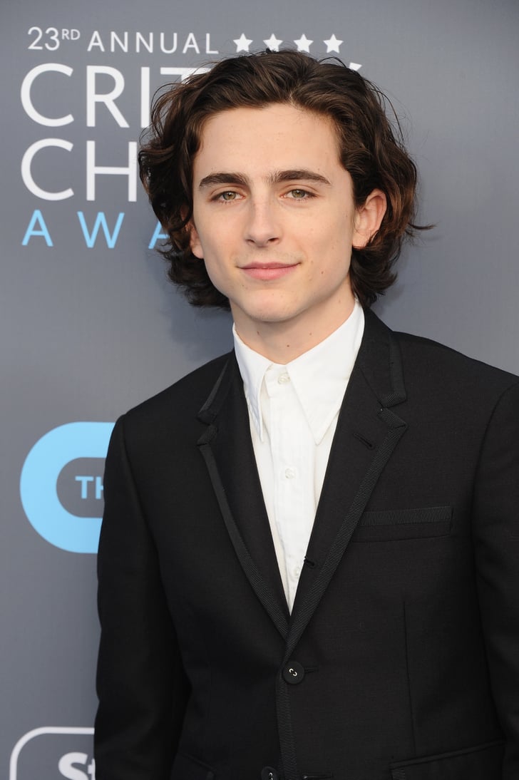 timothée chalamet funko pop