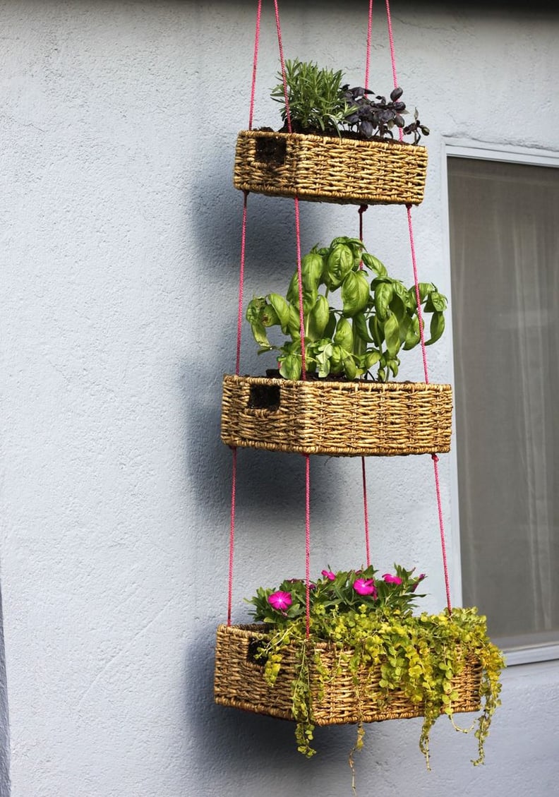 Hanging Baskets