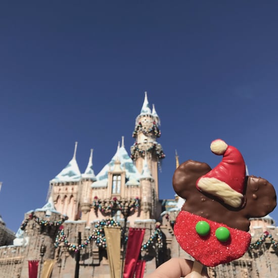Disneyland Holiday 2016