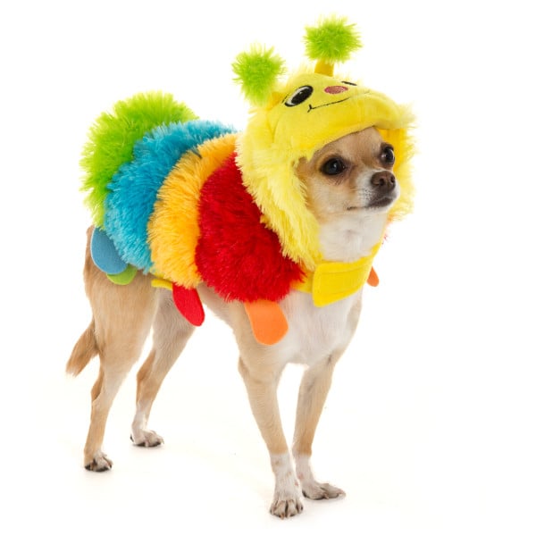 PetSmart Dog Halloween Costumes 2016 POPSUGAR Pets