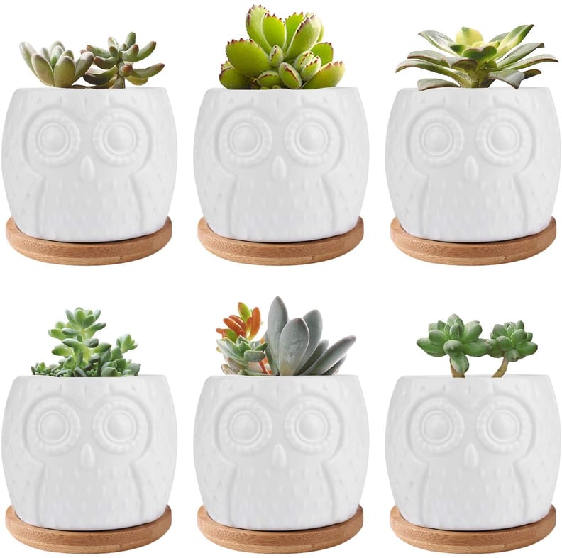 Brajttt 6 Pcs Owl Succulent Planters w/ Bamboo Saucers and Drainage