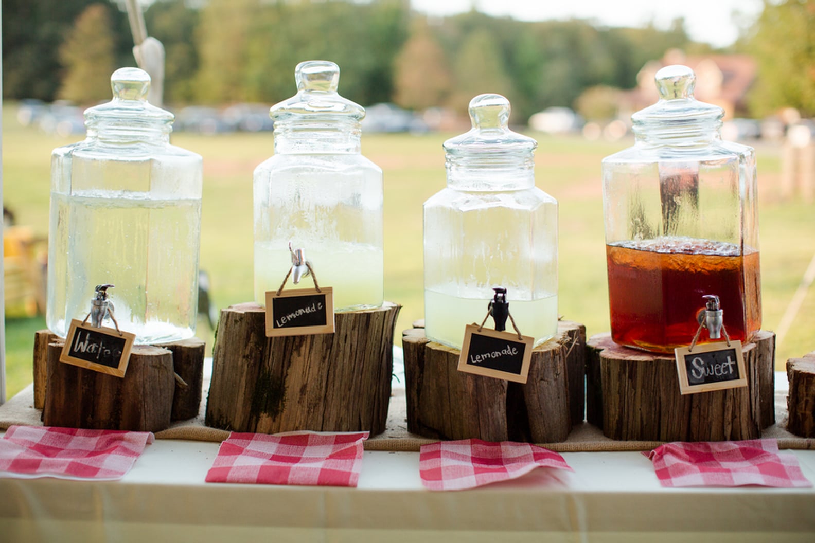 Country and Western Bridal Shower Ideas | PS Love