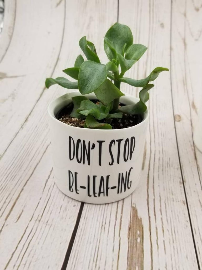 Don't Stop Be-Leaf-Ing Punny Plant Pot