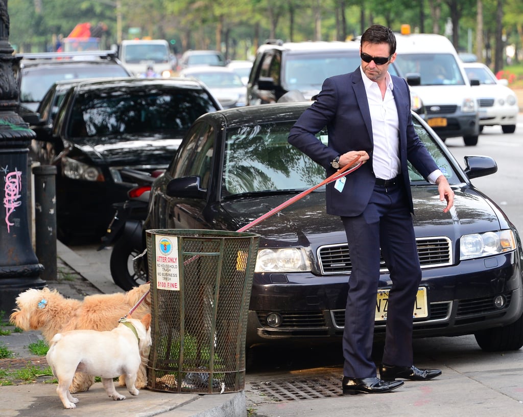 Hugh Jackman Walking His Dogs in a Suit in NYC