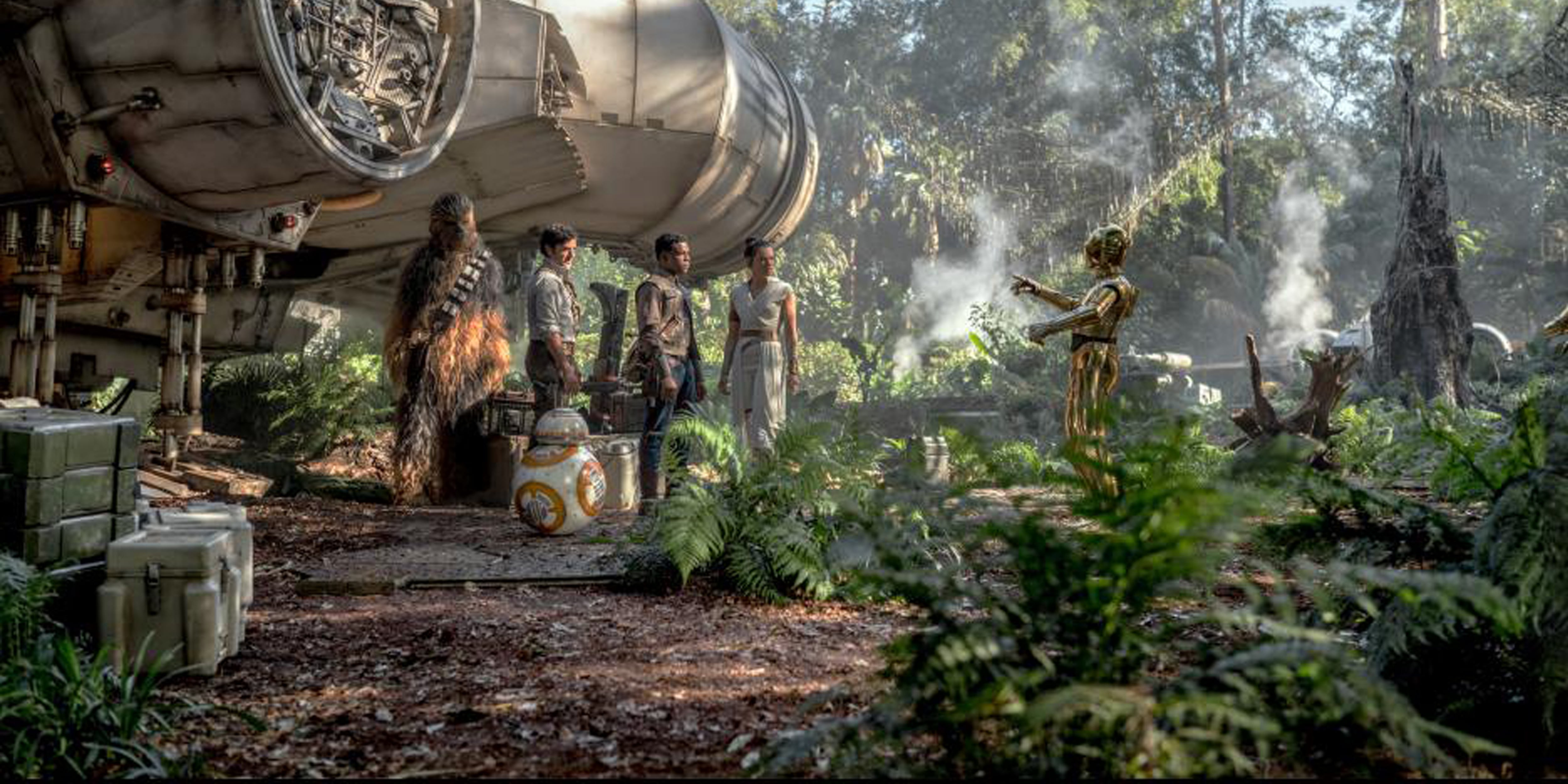 Celebrity and Character Cameos in The Rise of Skywalker | PS Entertainment