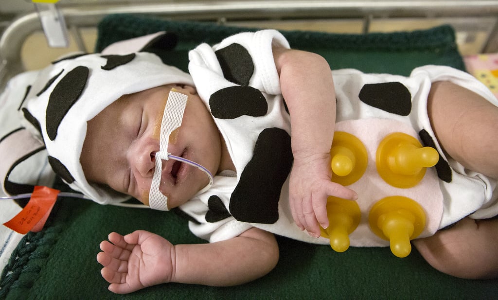 Babies in Halloween Costumes at Hospital