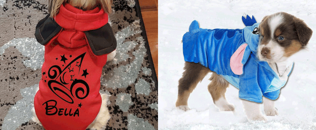 Warm and Cozy Disney Sweaters For Dogs