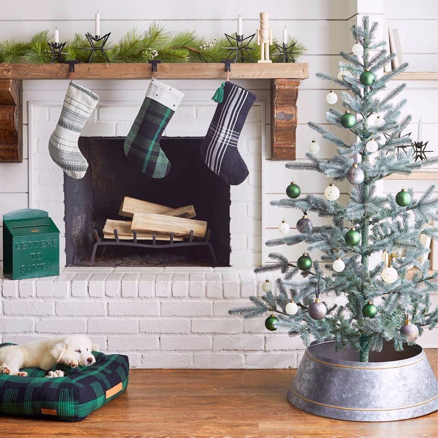 Joanna Gaines Target Collection PS Family