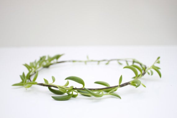 Vine Succulent Halo