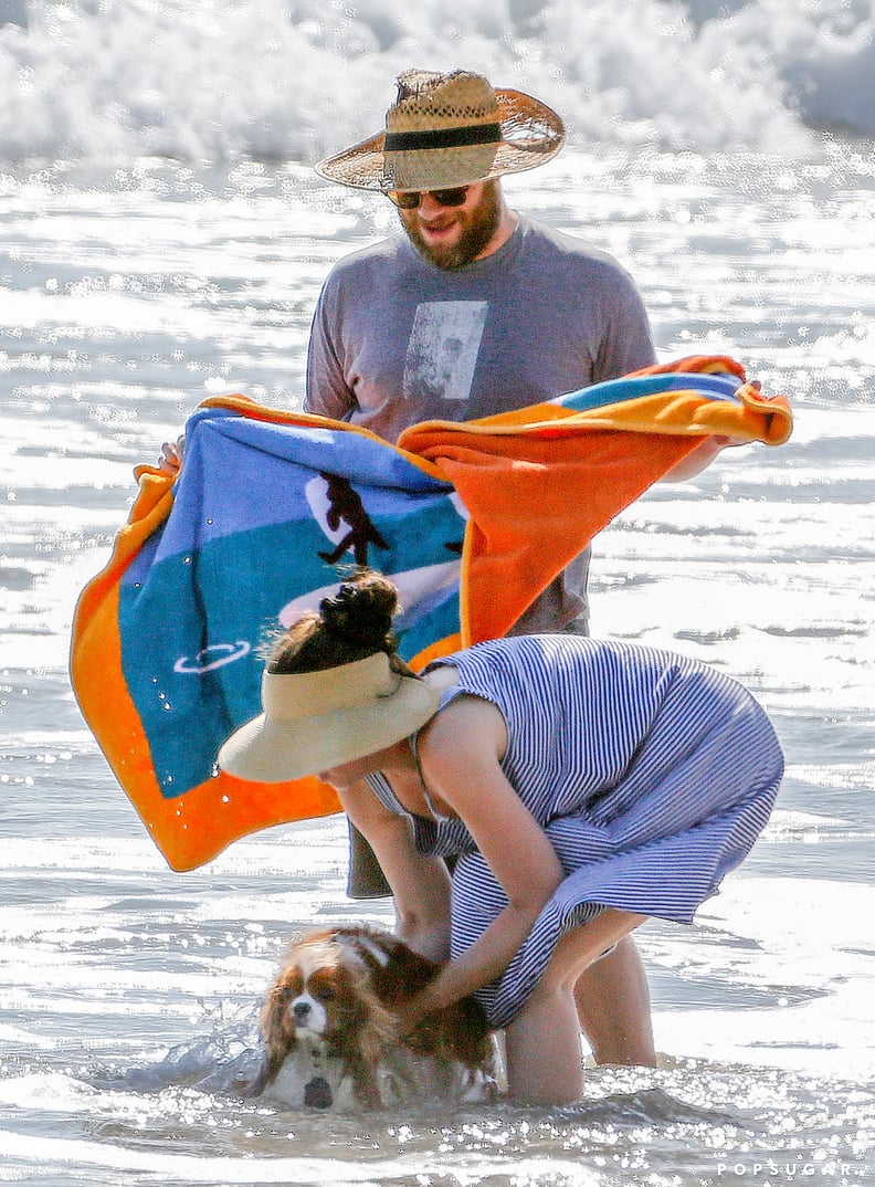 Seth Rogen Dog 2024
