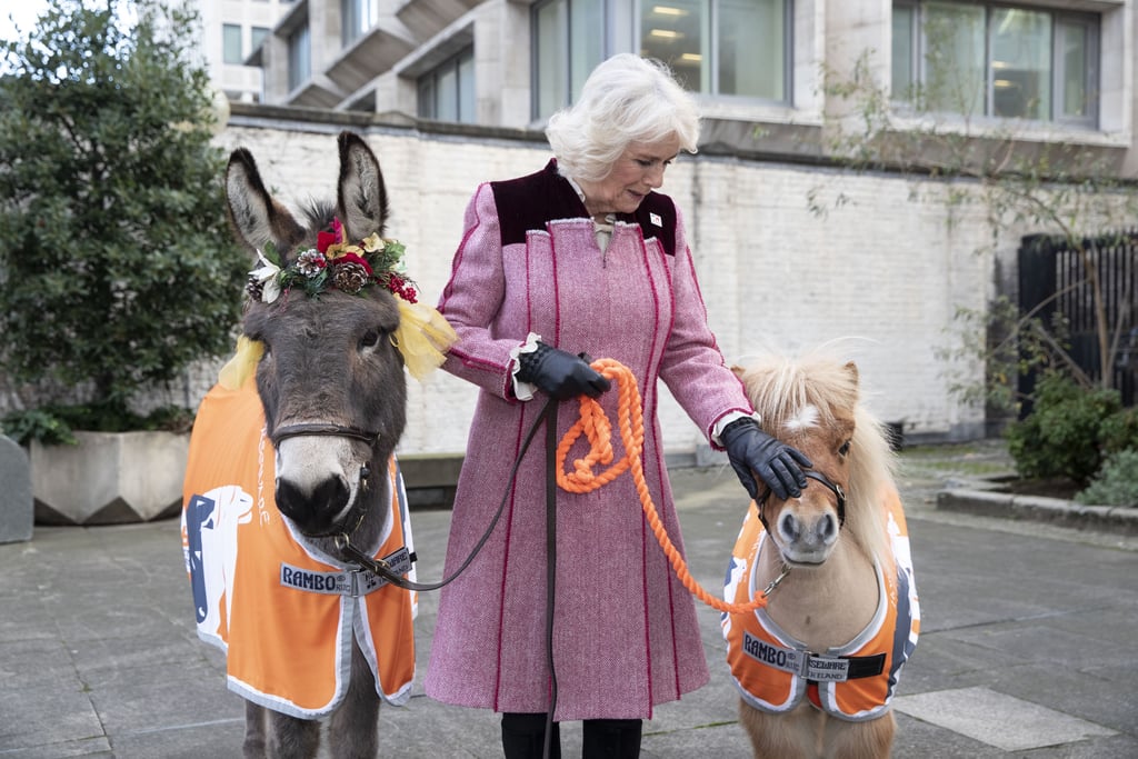 Camilla, Duchess of Cornwall, met a donkey named Ollie and a cute pony named Harry during a charity event at the Guards Chapel in December 2018.
