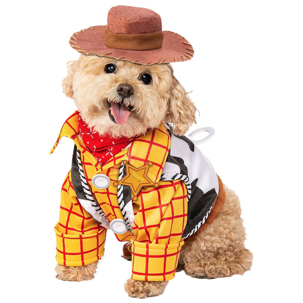 Best Costumes For Dogs